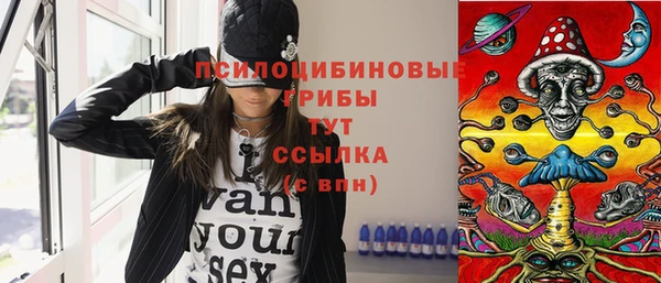 PSILOCYBIN Инта