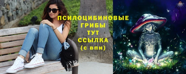 PSILOCYBIN Инта