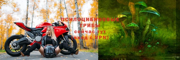 молекула духа Губаха