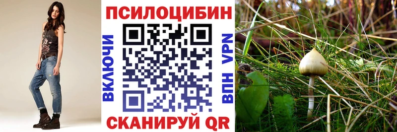 Купить закладки  Дедовск  Галлюциногенные грибы прущие грибы 